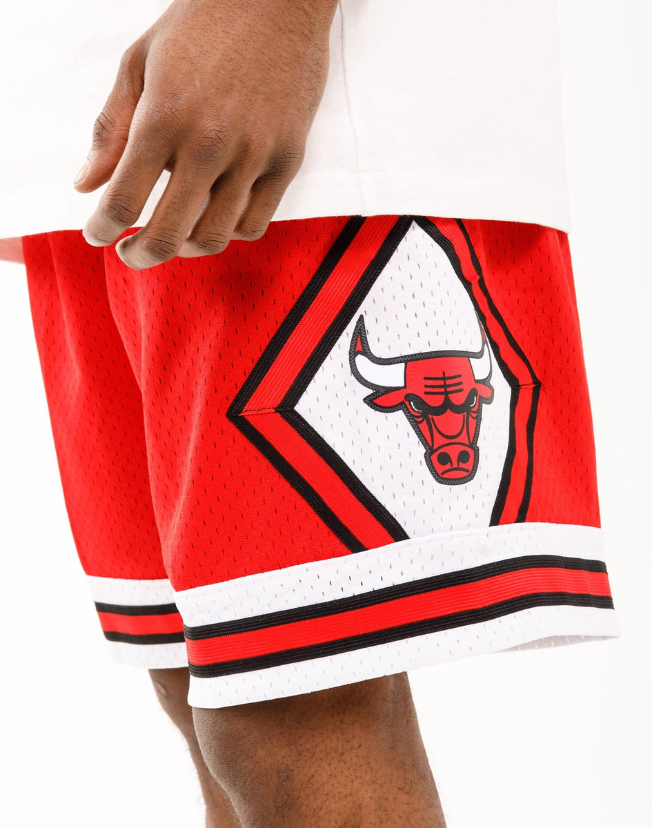 Pro Standard Chicago Bulls Shorts – DTLR