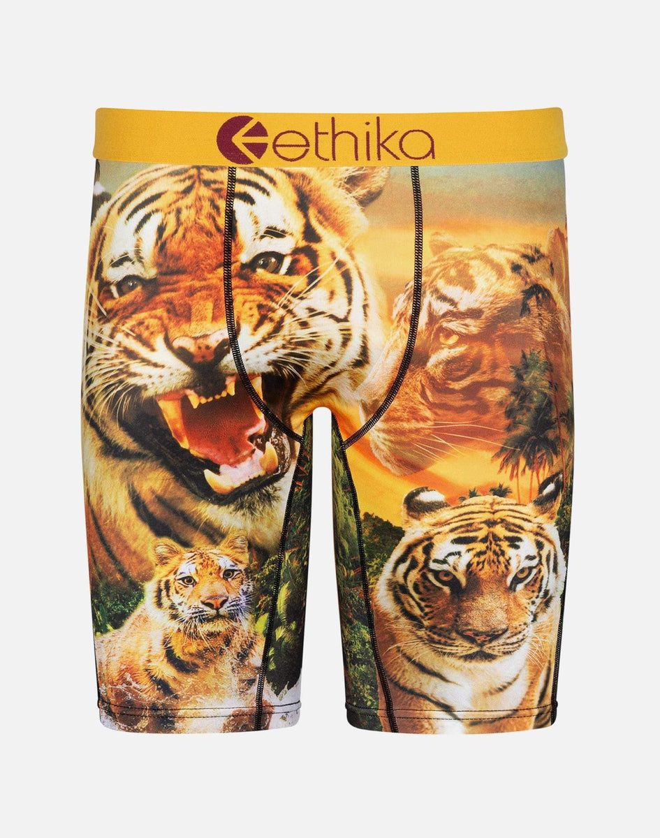 Ethika Kids Painted Tiger Black Boxer Briefs