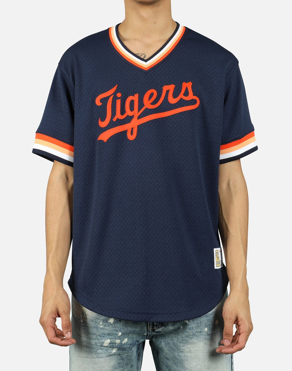 MLB Detroit Tigers Men's Short Sleeve V-Neck Jersey - S