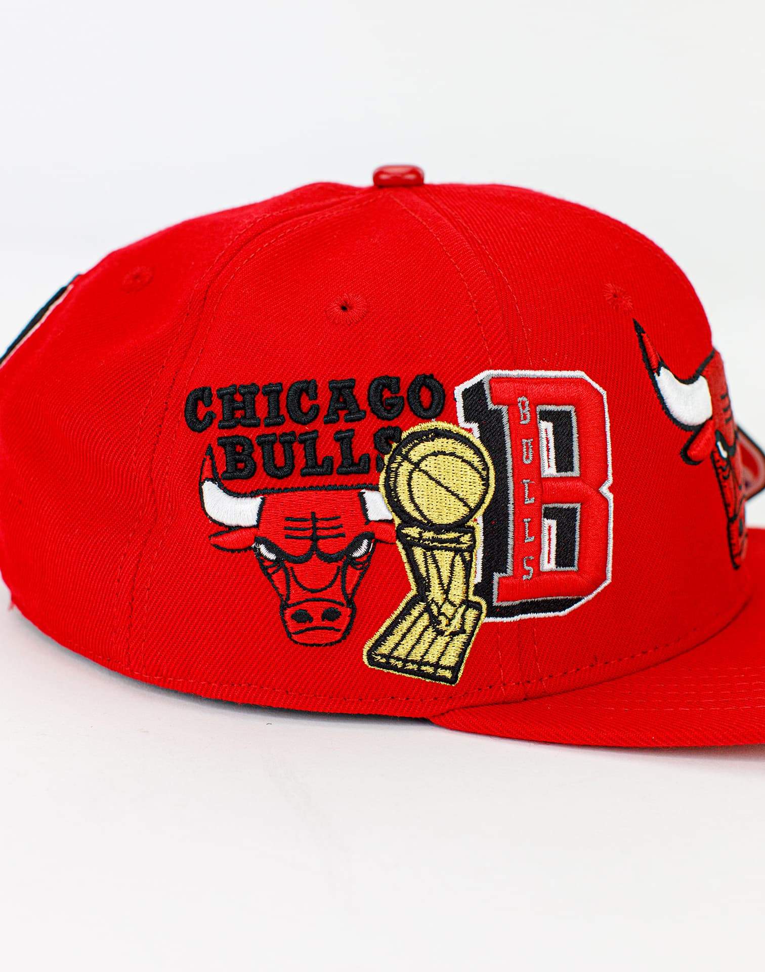 Pro Standard NBA Chicago Bulls Pro Team Shorts – DTLR