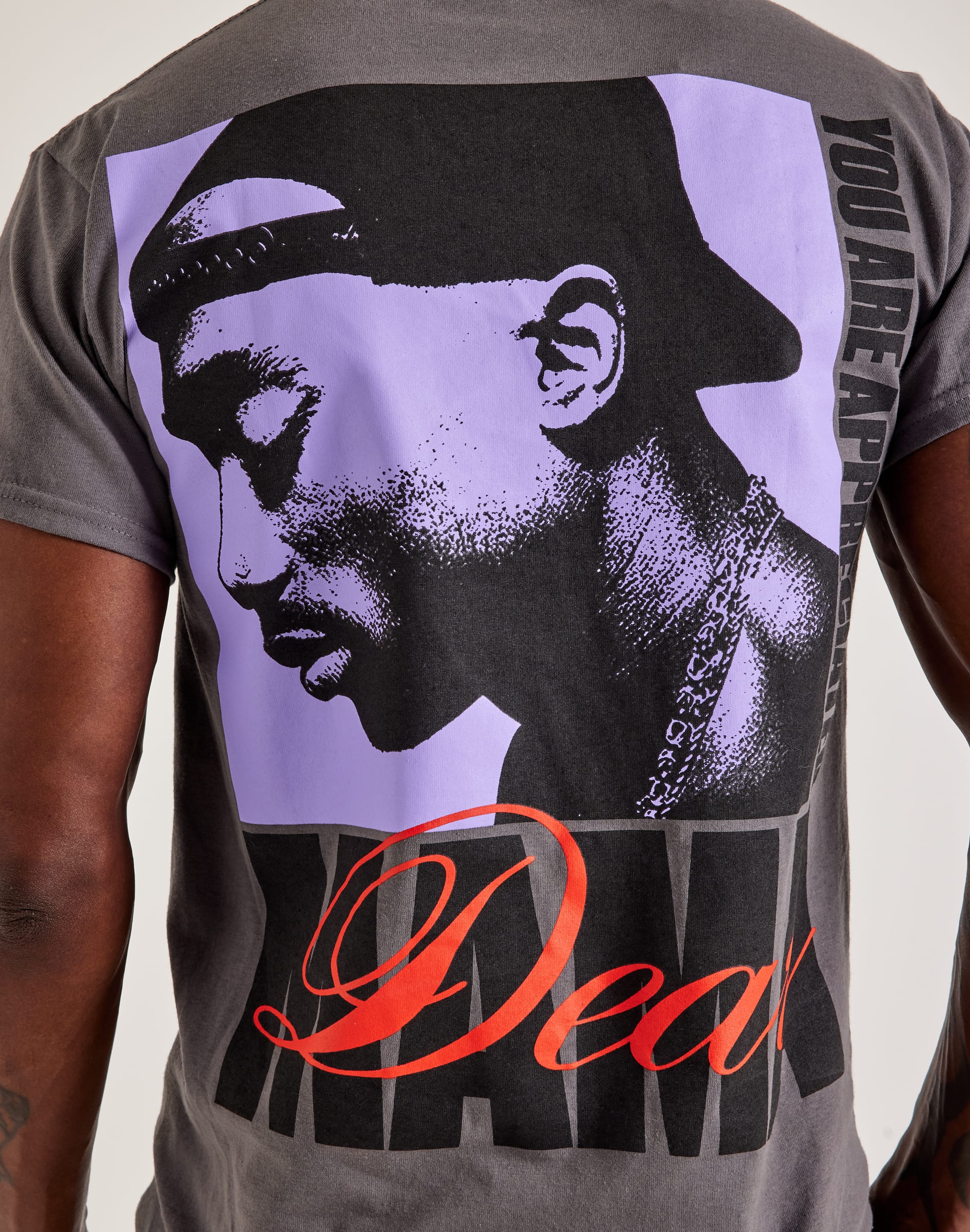 dtlr.com is where to buy