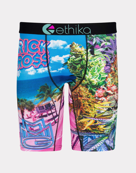 Shop Ethika Bands on Bands Briefs MLUS2964 multi