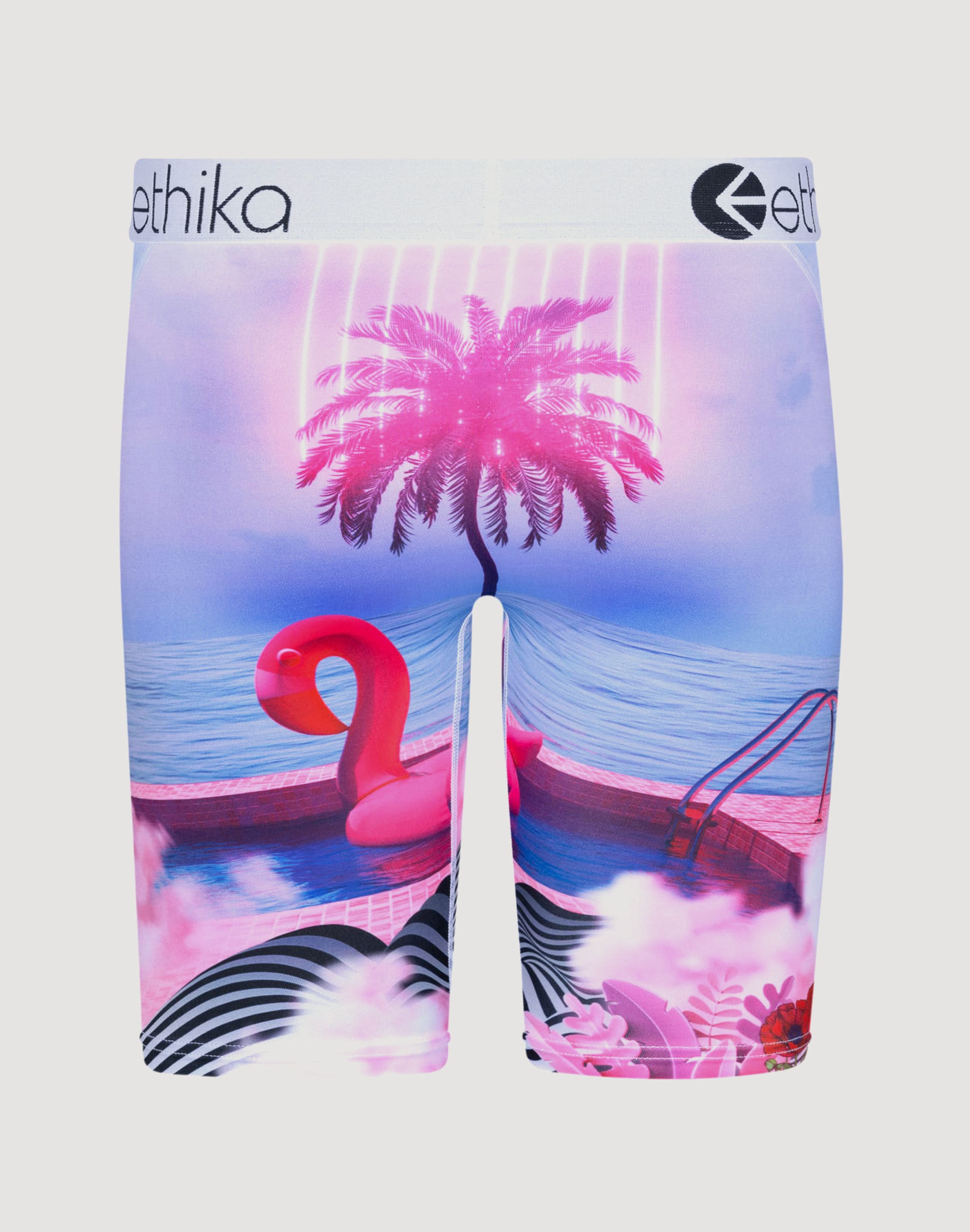 ethika Pink Panties for Women