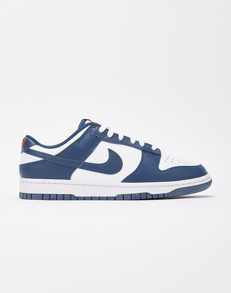 Nike Dunk Low Retro 'Valerian Blue' – DTLR