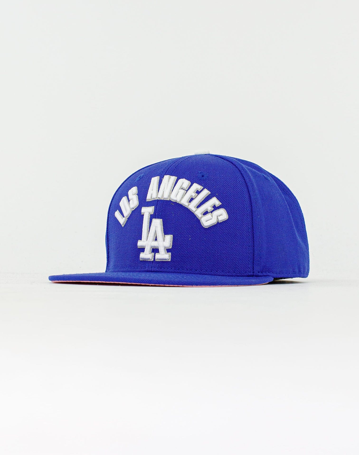 Men's Los Angeles Dodgers Pro Standard White/Royal Logo Snapback Hat