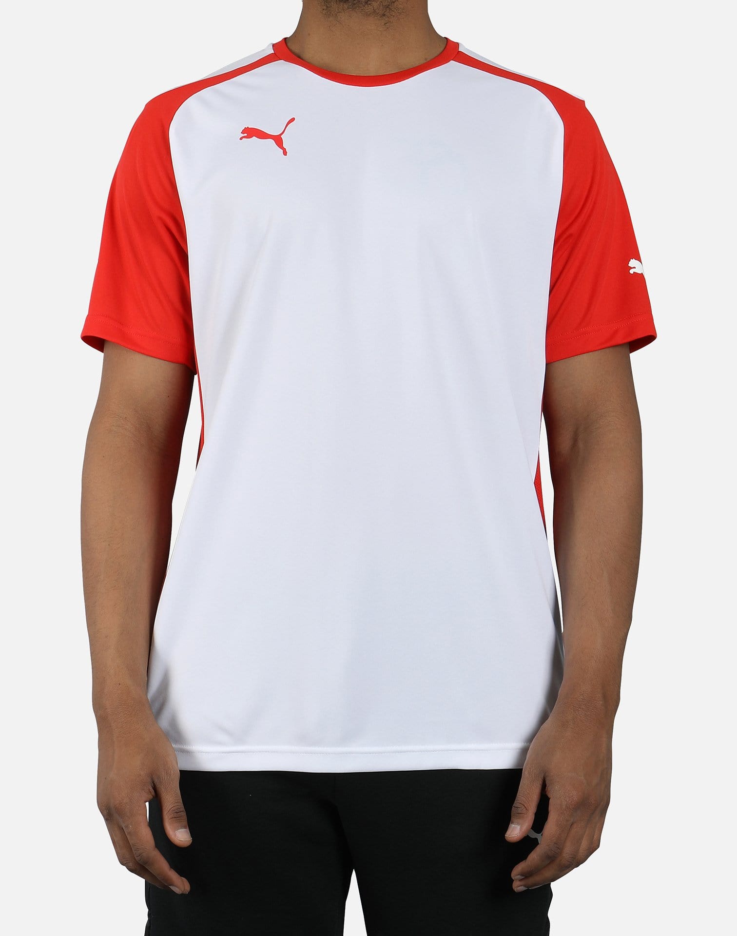 PUMA Men's Speed Jersey