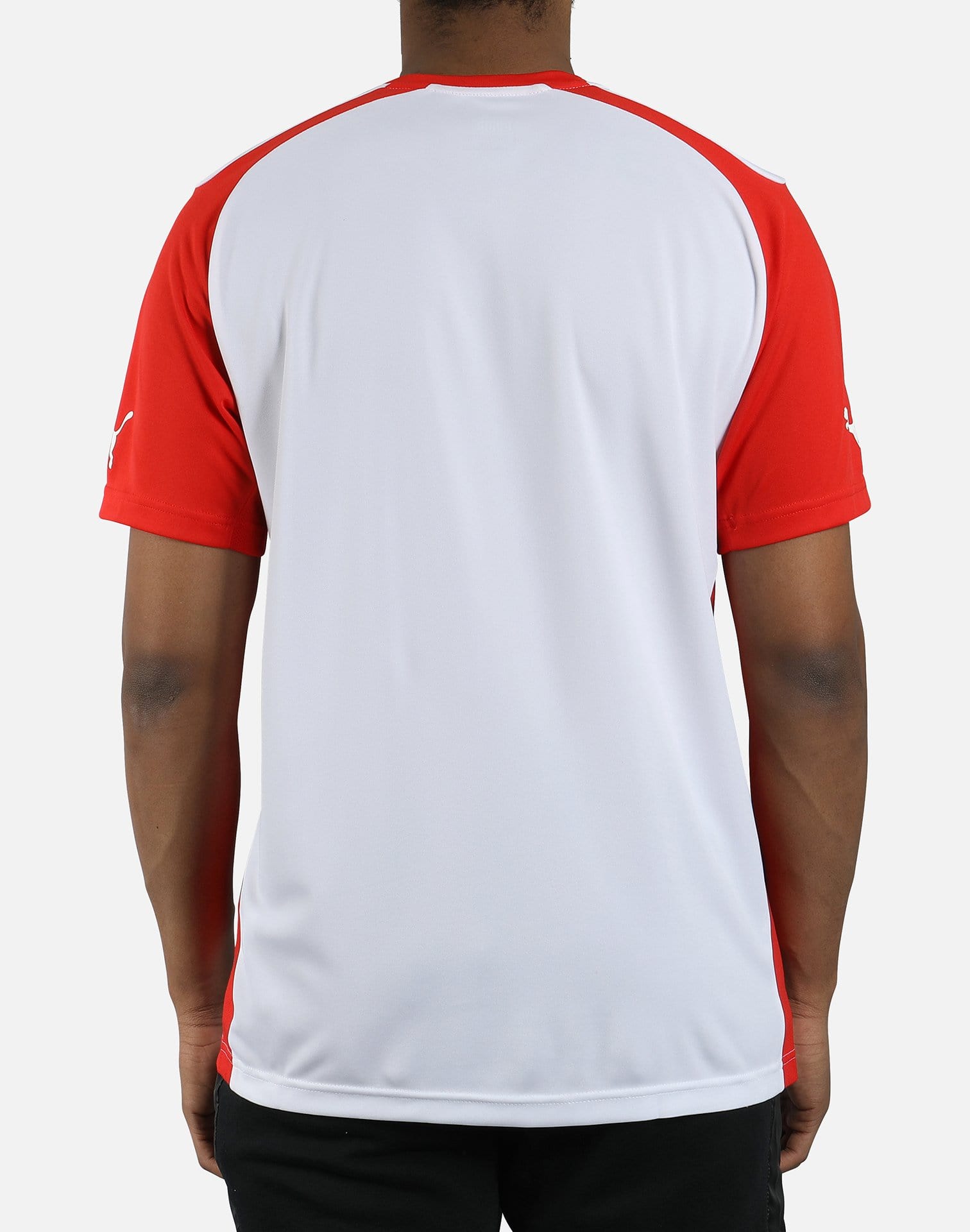 PUMA Men's Speed Jersey