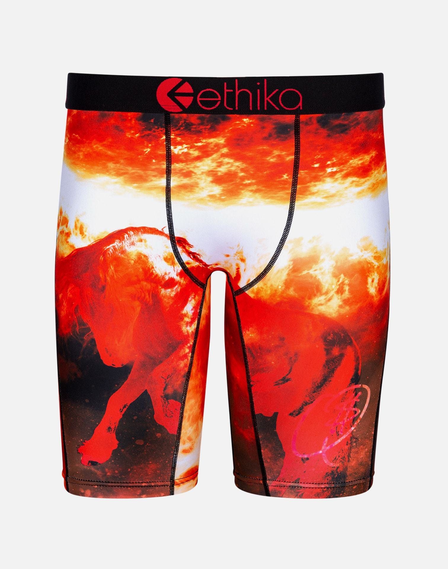 Ethika Men's x Q Money Be Free Boxer Briefs